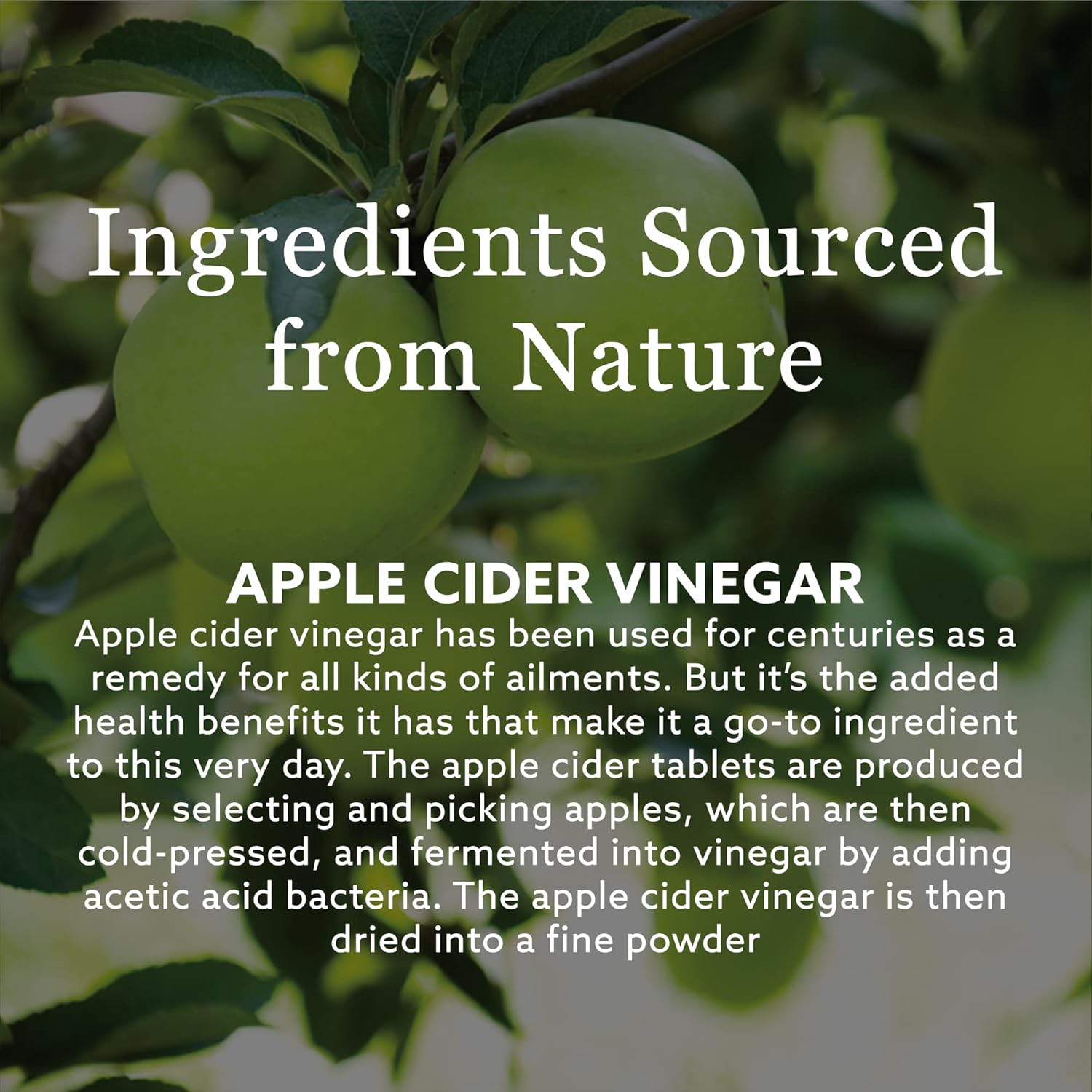 Apple Cider | New Nordic | Different Variants