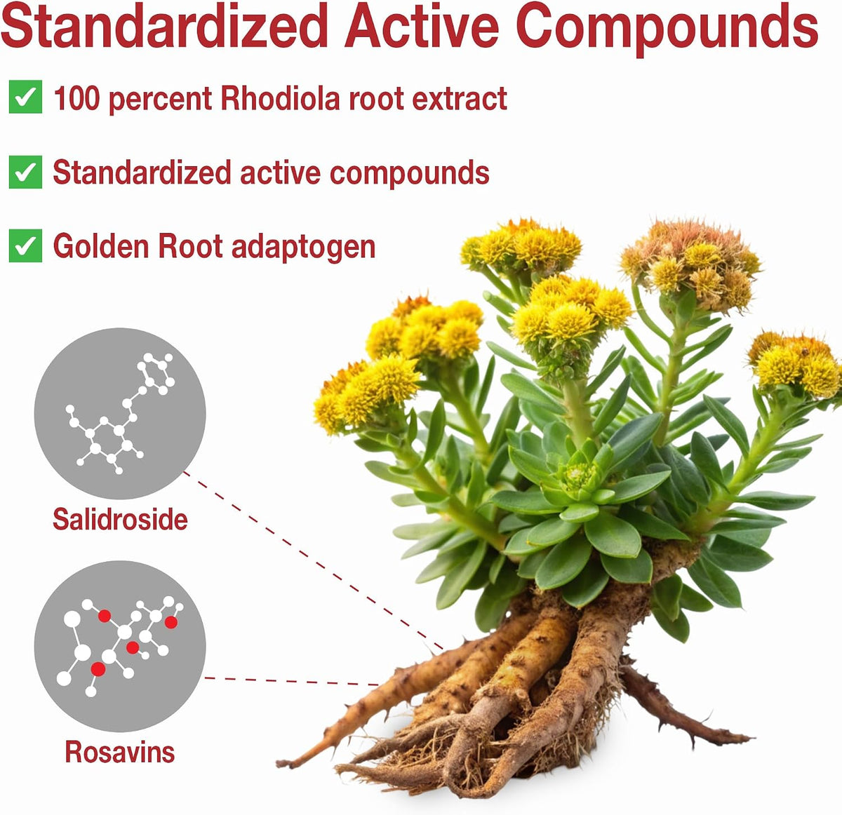 Rhoziva | Nanton Nutraceuticals | 60 OR 120 Capsules