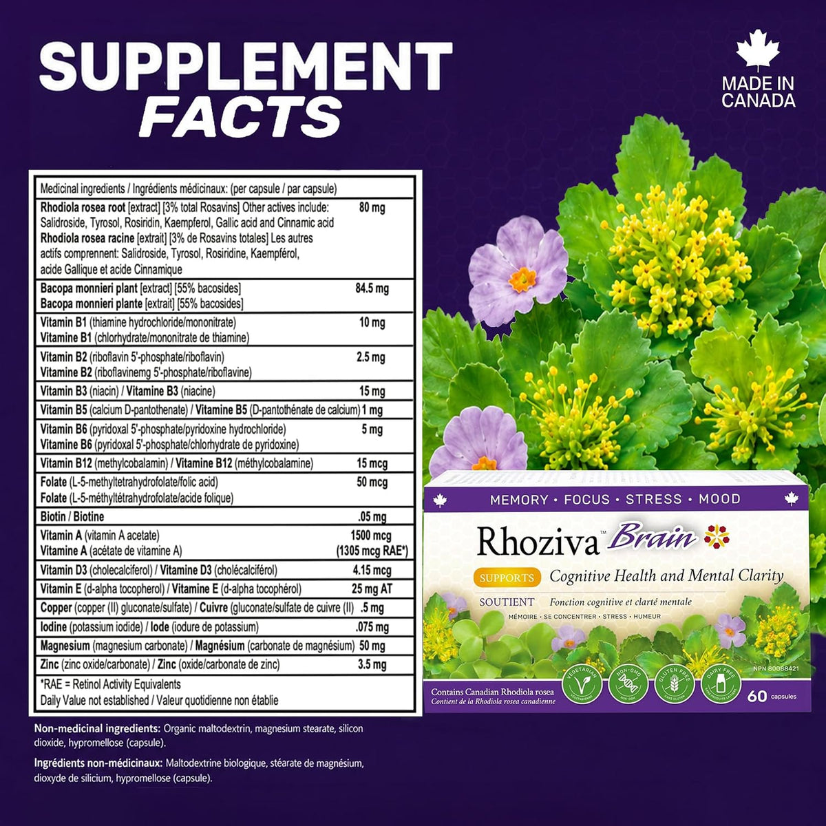 Rhoziva Brain | Nanton Nutraceuticals | 60 Capsules