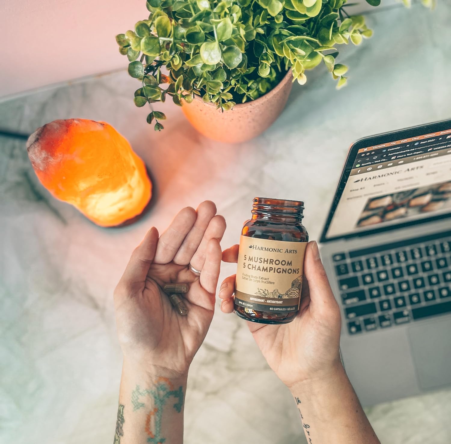 5 Mushroom Capsules| Harmonicarts | 60 Capsules