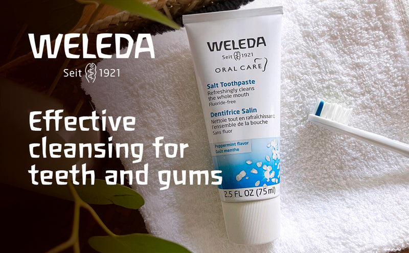 Salt Toothpaste | WELEDA | 75 mL / 2.5 Ounce