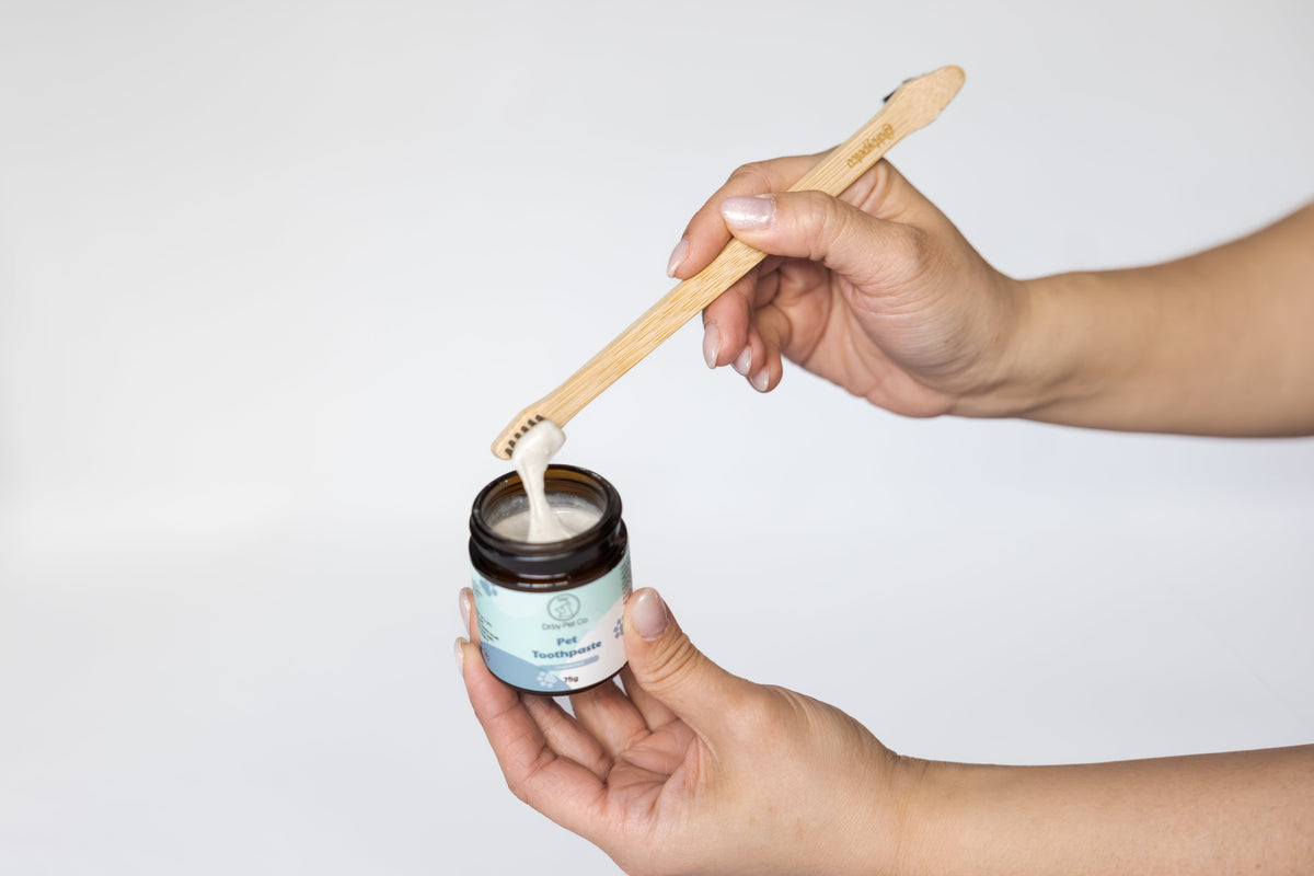 Dual-End Bamboo Pet Toothbrush