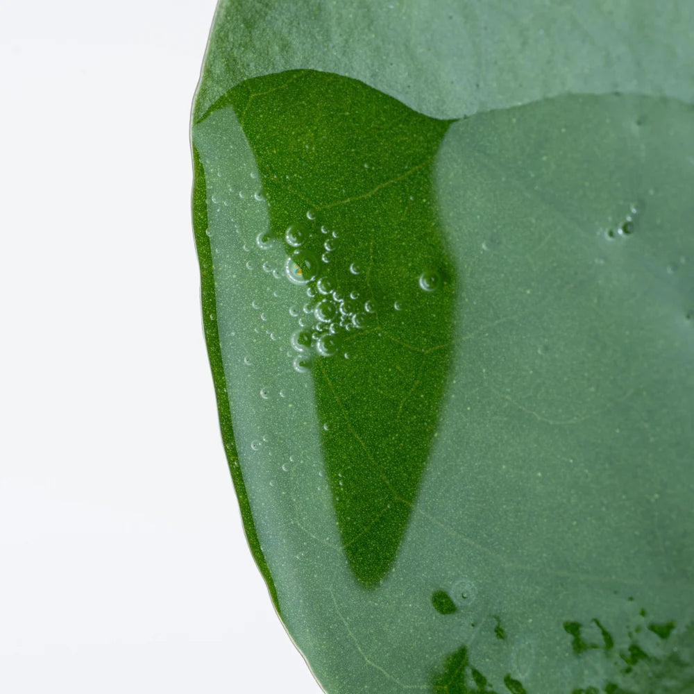 Anti-Aging Serum | Riversol | 60 mL