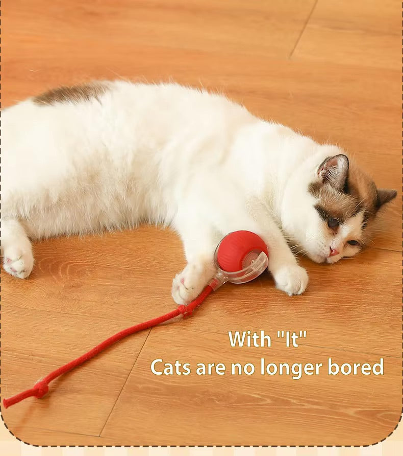 Vibrating Bouncing Ball – Interactive Toy for Cats & Dogs