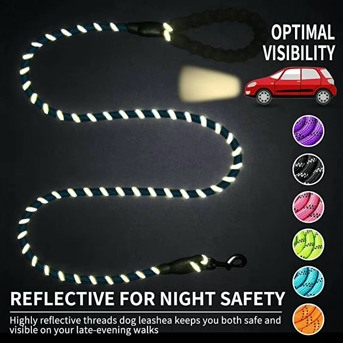 Reflective Dog Leash – Durable Safety for Night Walks