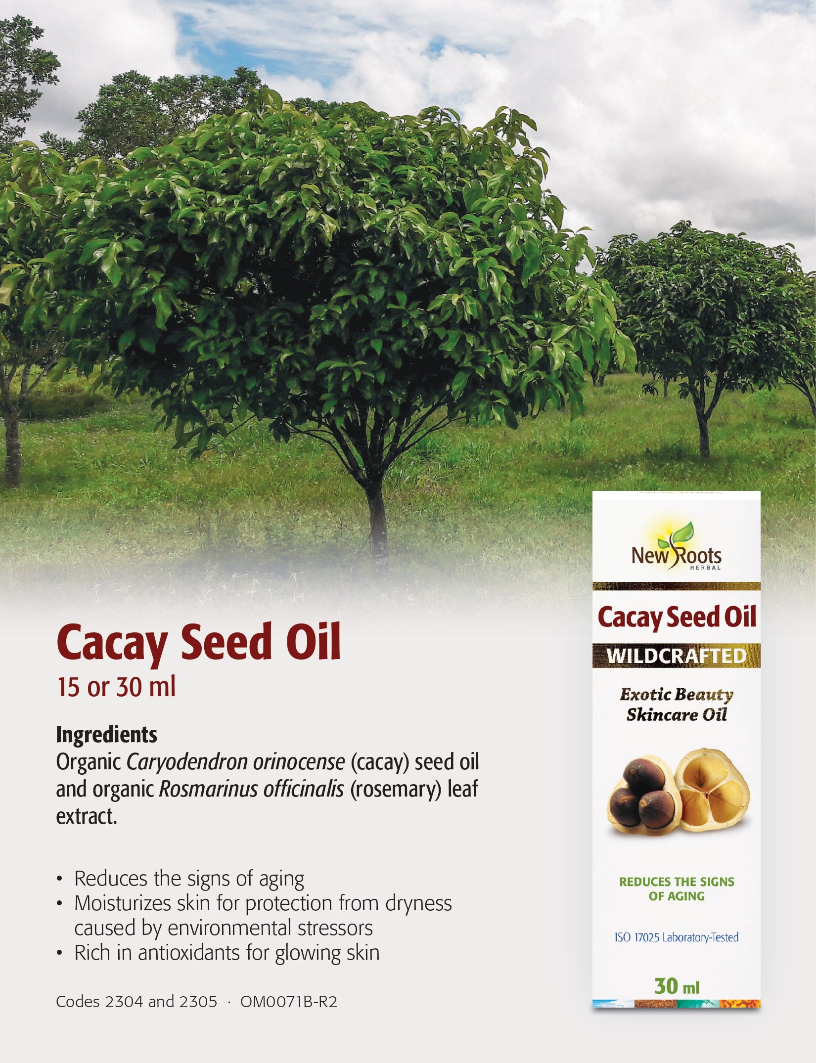 Sea Buckthorn Seed Oil | New Roots HERBAL® | 30 mL