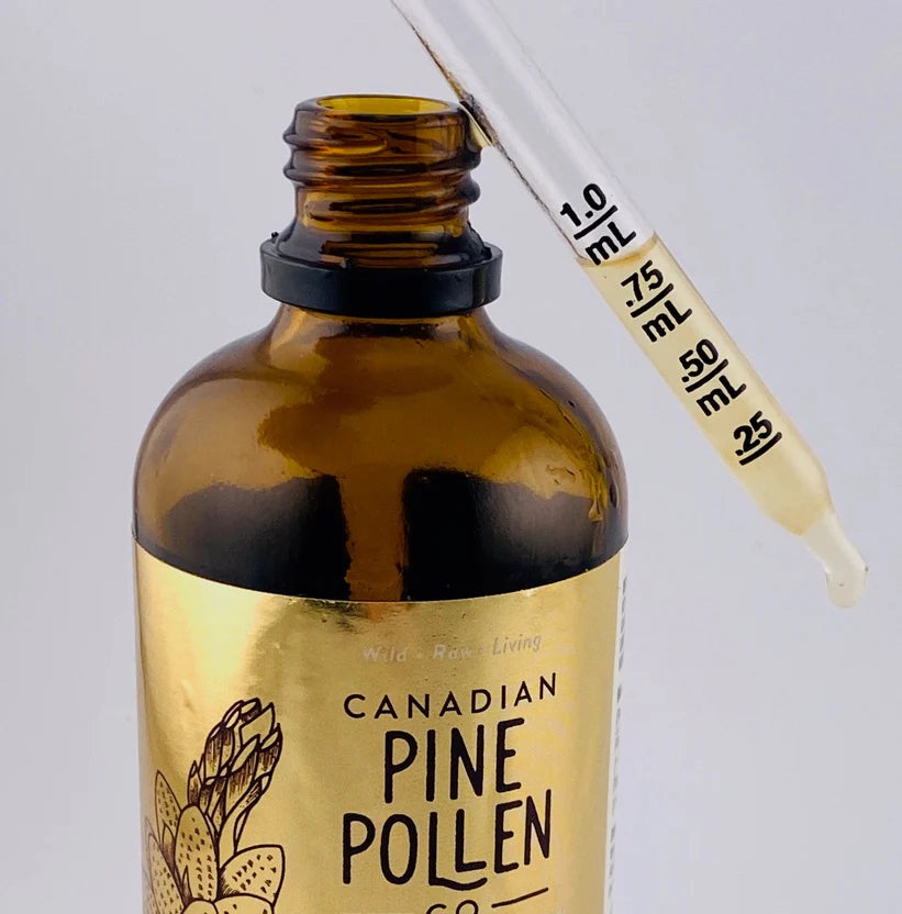 Wild Organic Pine Pollen Tincture 1:4 Extract | Canadian Pine Pollen | 100 mL