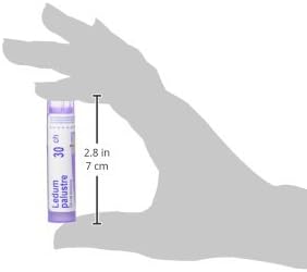 Ledum palustre 30CH by Boiron® – Homeopathic Relief for Insect Bites, Stings & Minor Bruising | Approx. 80 Pellets