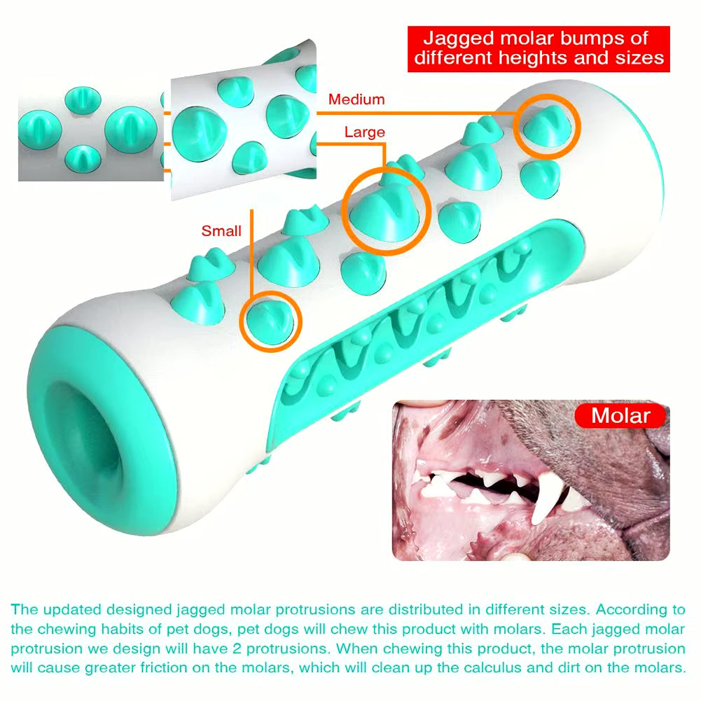 Chew Toys for Dogs – Unbreakable Molar Treat Dispenser