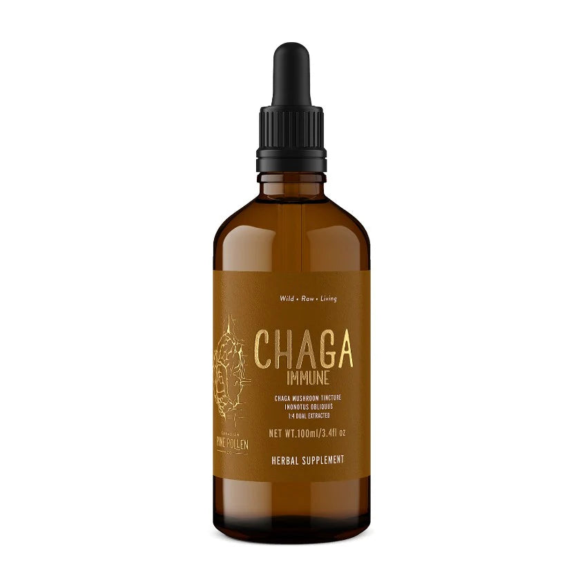Chaga Tincture | Canadian Pine Pollen® | 100ml