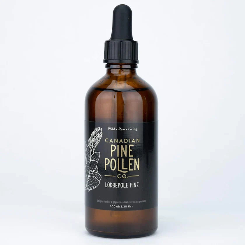Wild Lodgepole Pine Pollen Tincture | Canadian Pine Pollen | 100 mL (3.4 fl oz)