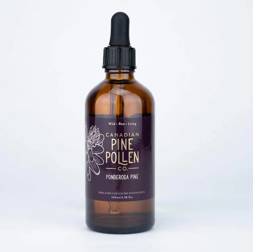 Wild Ponderosa Pine Pollen Tincture | Canadian Pine Pollen | 100 mL-3.4 fl oz