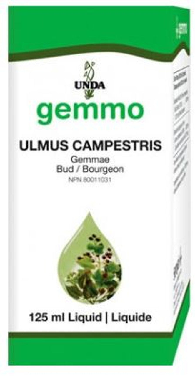 Ulmus campestris | UNDA Gemmo | 125 mL