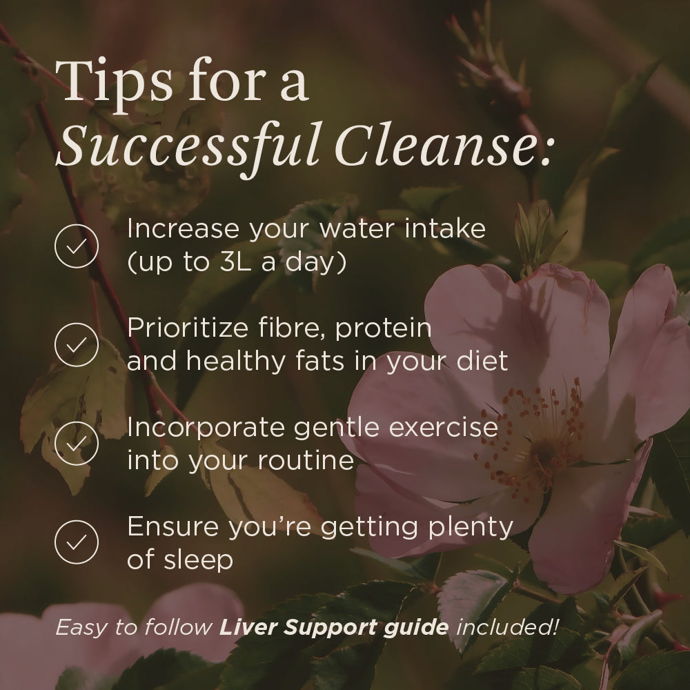 Liver Support Kit by Wild Rose® – 15-Day Liver Cleanse & Digestive Support Program | Complete Kit