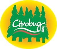 All Natural Insect Repellent Oil for Kids, DEET-Free|Citrobug 125ml