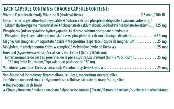 Aesculus hippocastanum | UNDA Gemmo | 125 mL