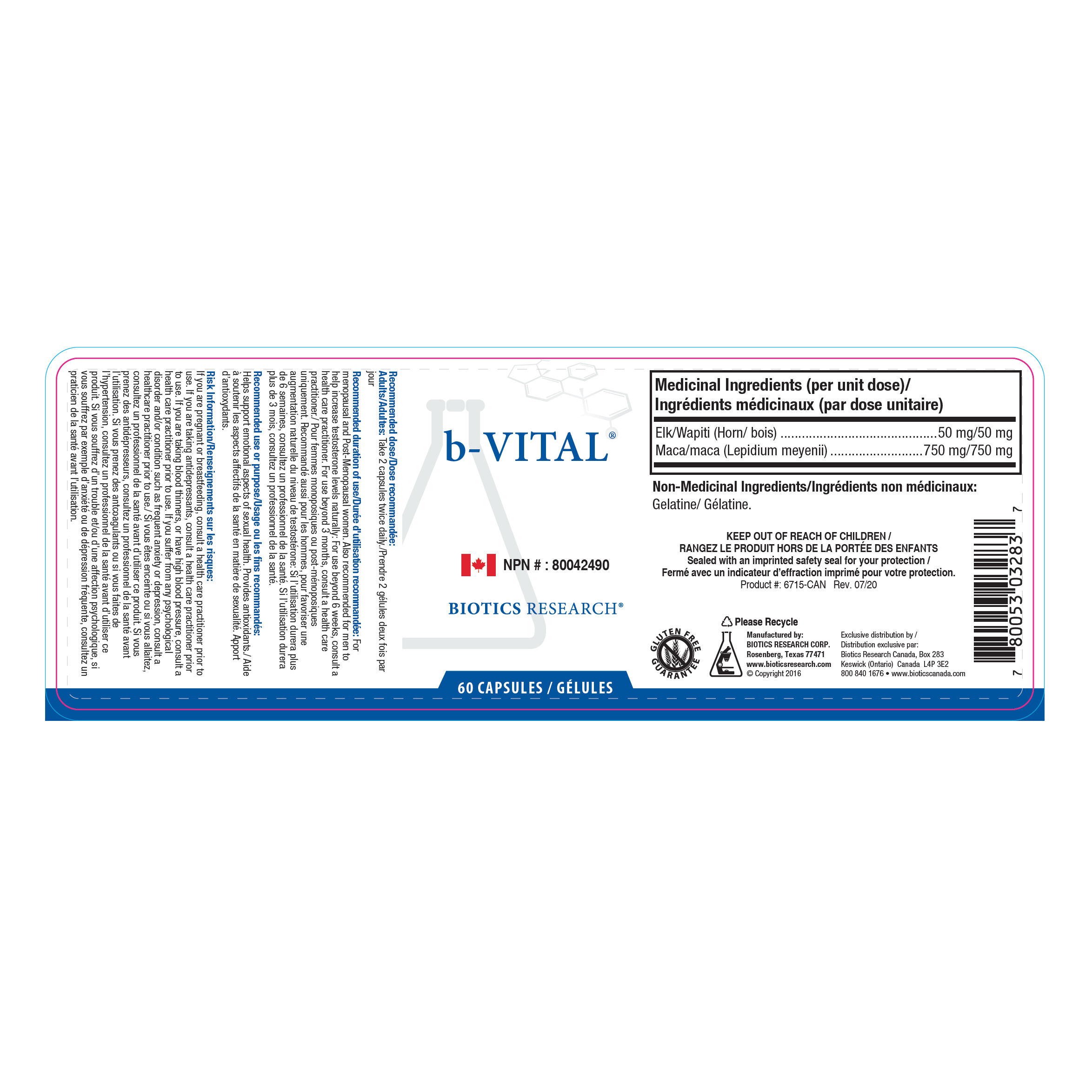 b-Vital® | Biotics Research® | 60 Capsules
