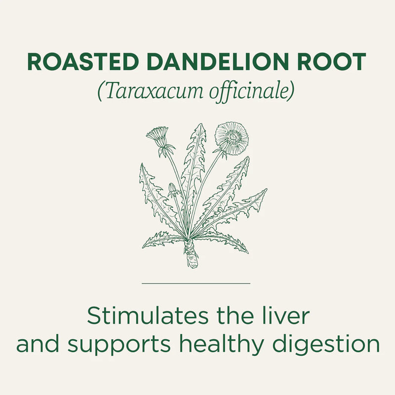 Roasted Dandelion Root Tea | Traditional Medicinals® | 16 Tea Bags