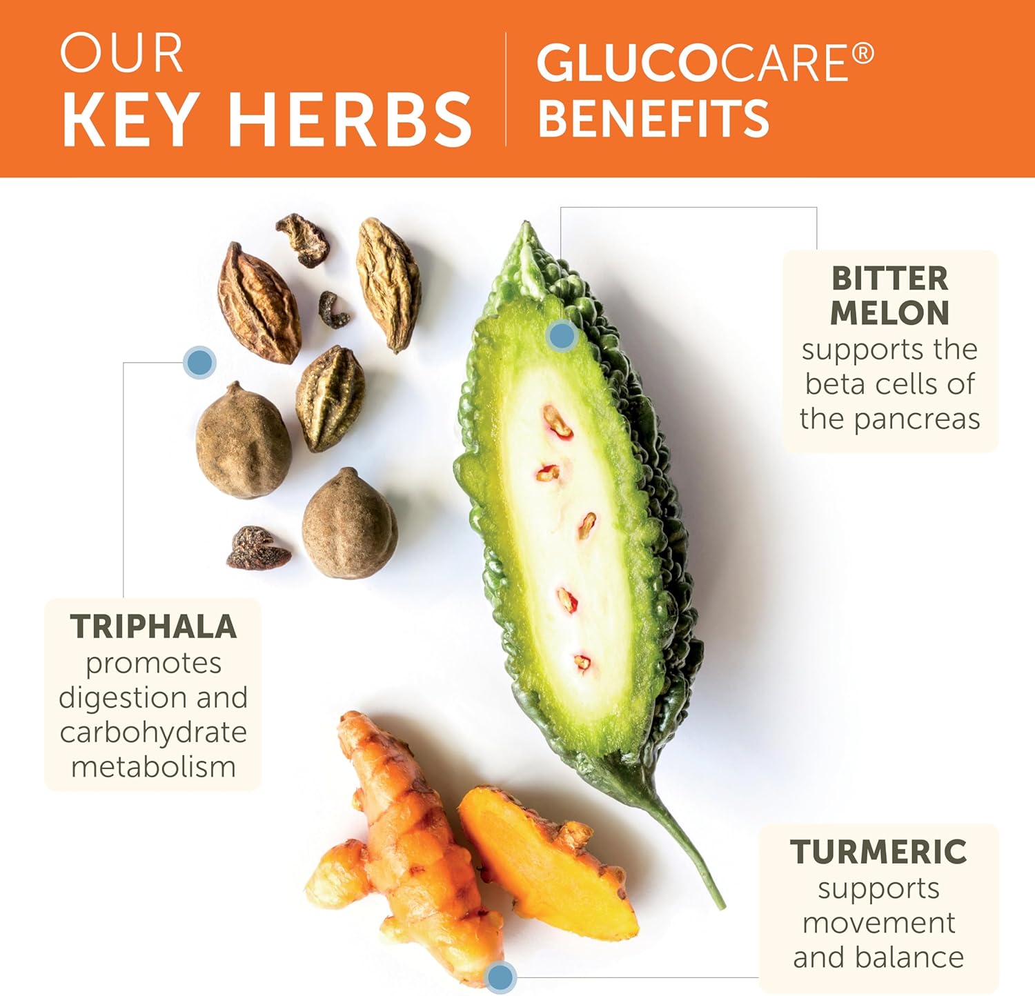GlucoCare | Himalaya® | 90 Capsules