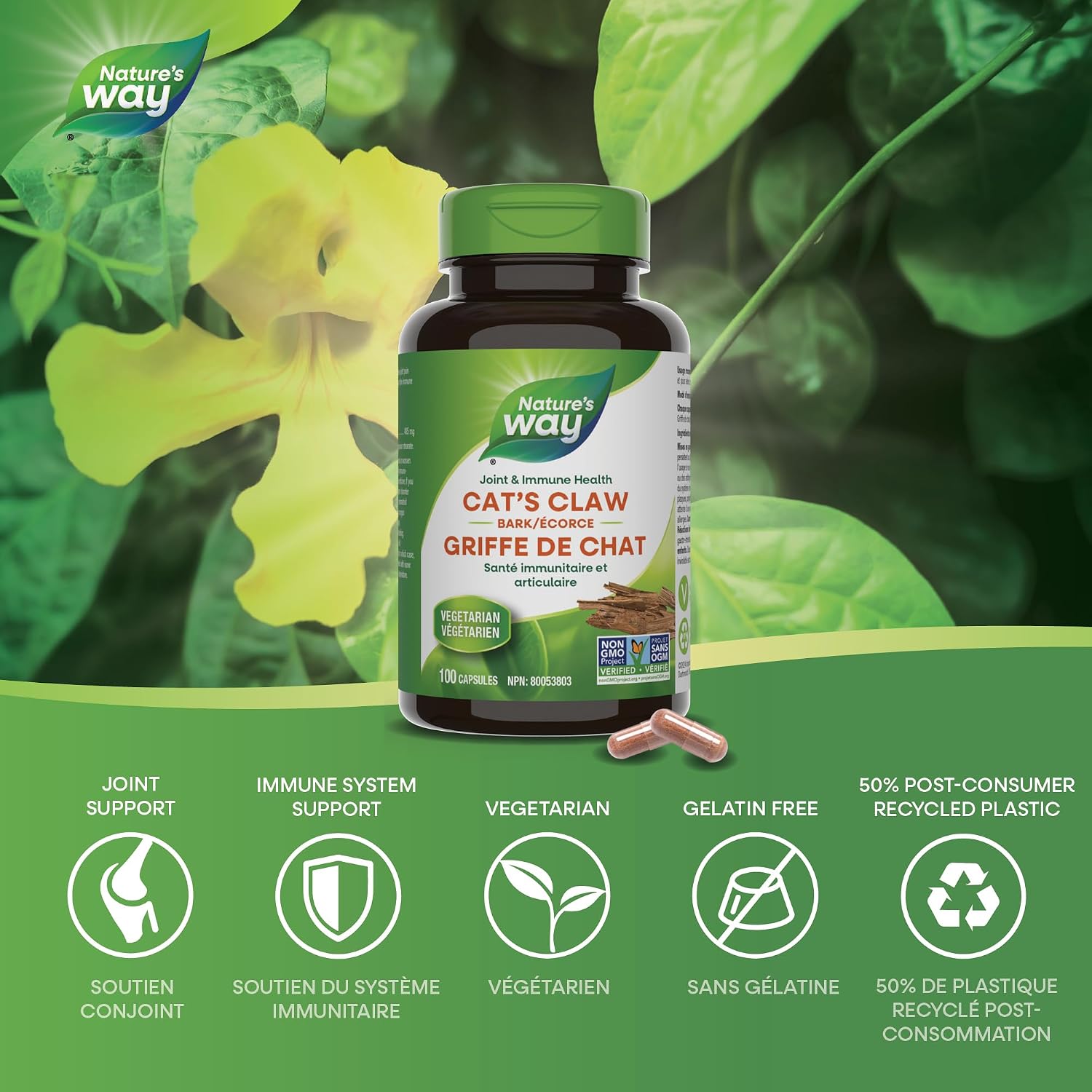 Cat's Claw | Nature's Way® | 100 Capsules