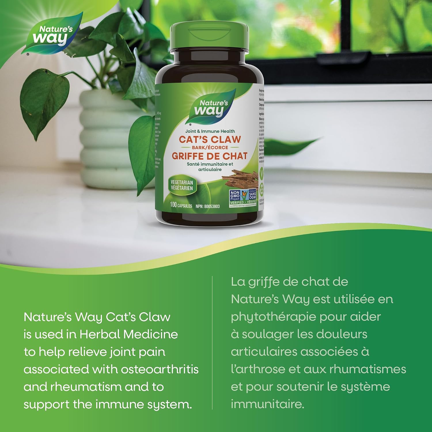 Cat's Claw | Nature's Way® | 100 Capsules