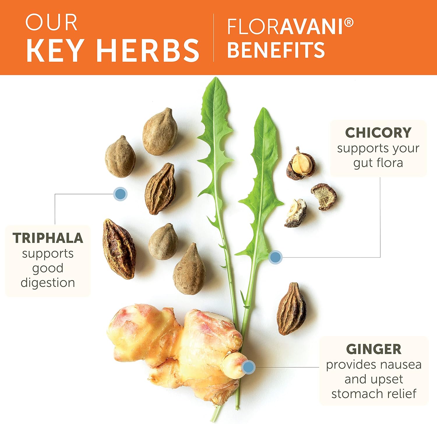 FlorAvani® | Himalaya | 90 Capsules