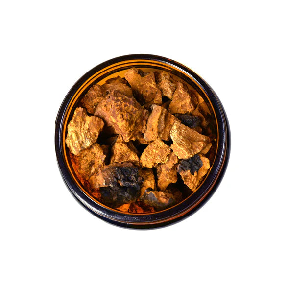 Wild Chaga Mushroom | Canadian Pine Pollen® | 150g (5.3 oz)
