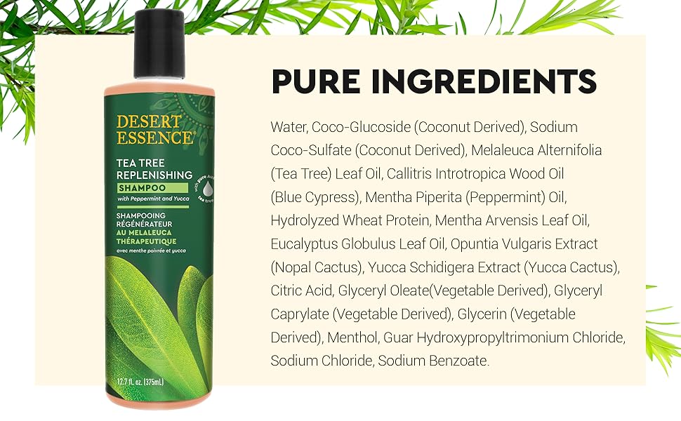 Tea Tree Oil Replenishing Shampoo | Desert Essence® | 375 mL