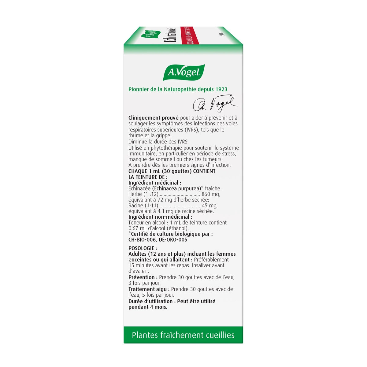Echinaforce® Extra Hot Drink by A.Vogel® – Cold, Flu & Immune Support | 100 mL