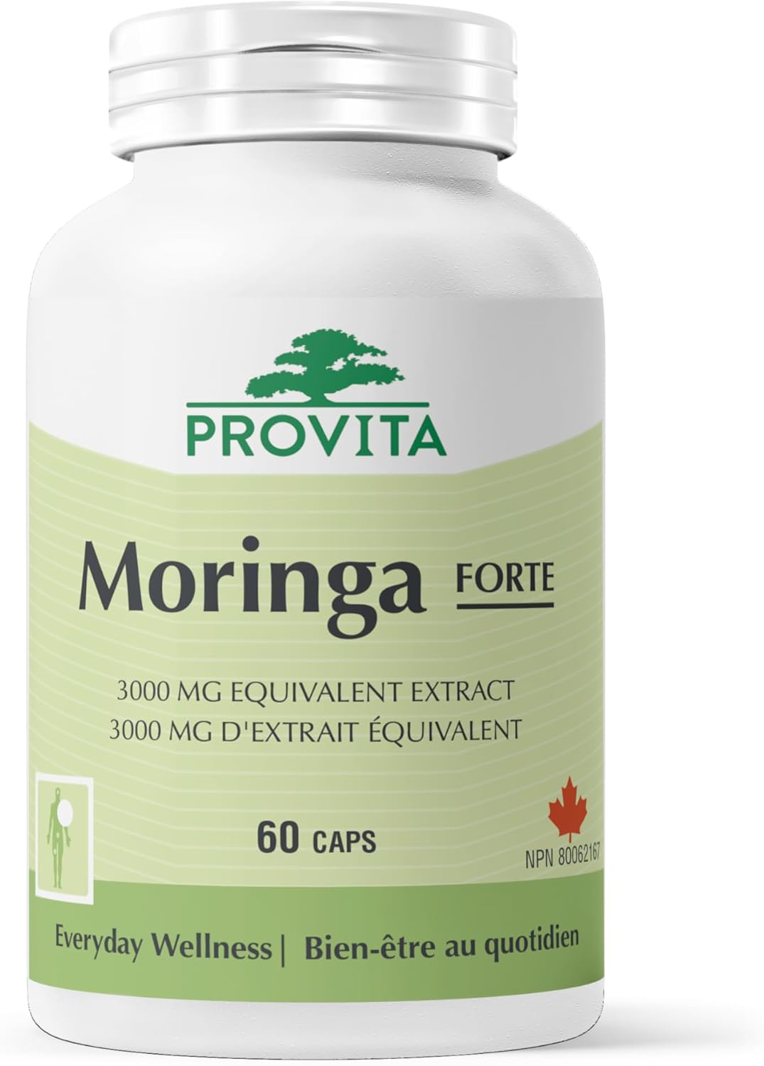 Moringa Forte | Provita | 60 Capsules