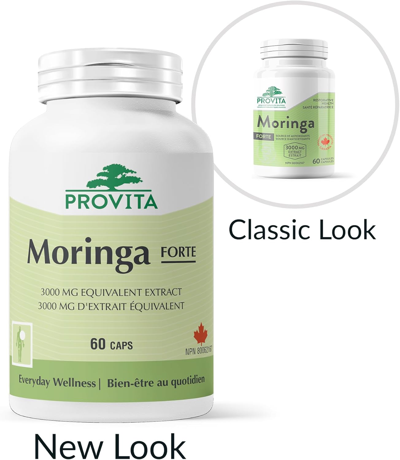 Moringa Forte | Provita | 60 Capsules