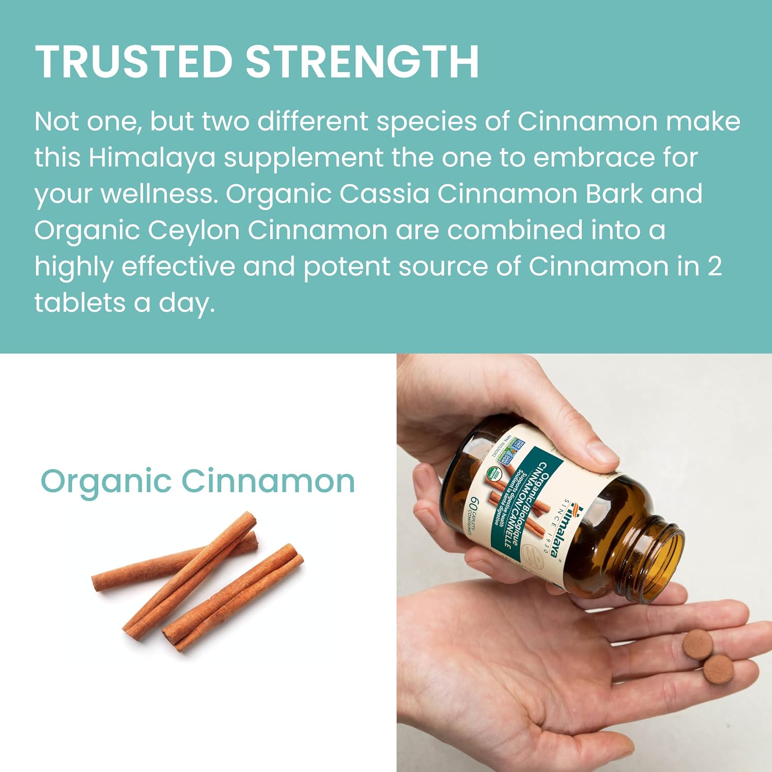 Organic Cinnamon | Himalaya |60 Tablets