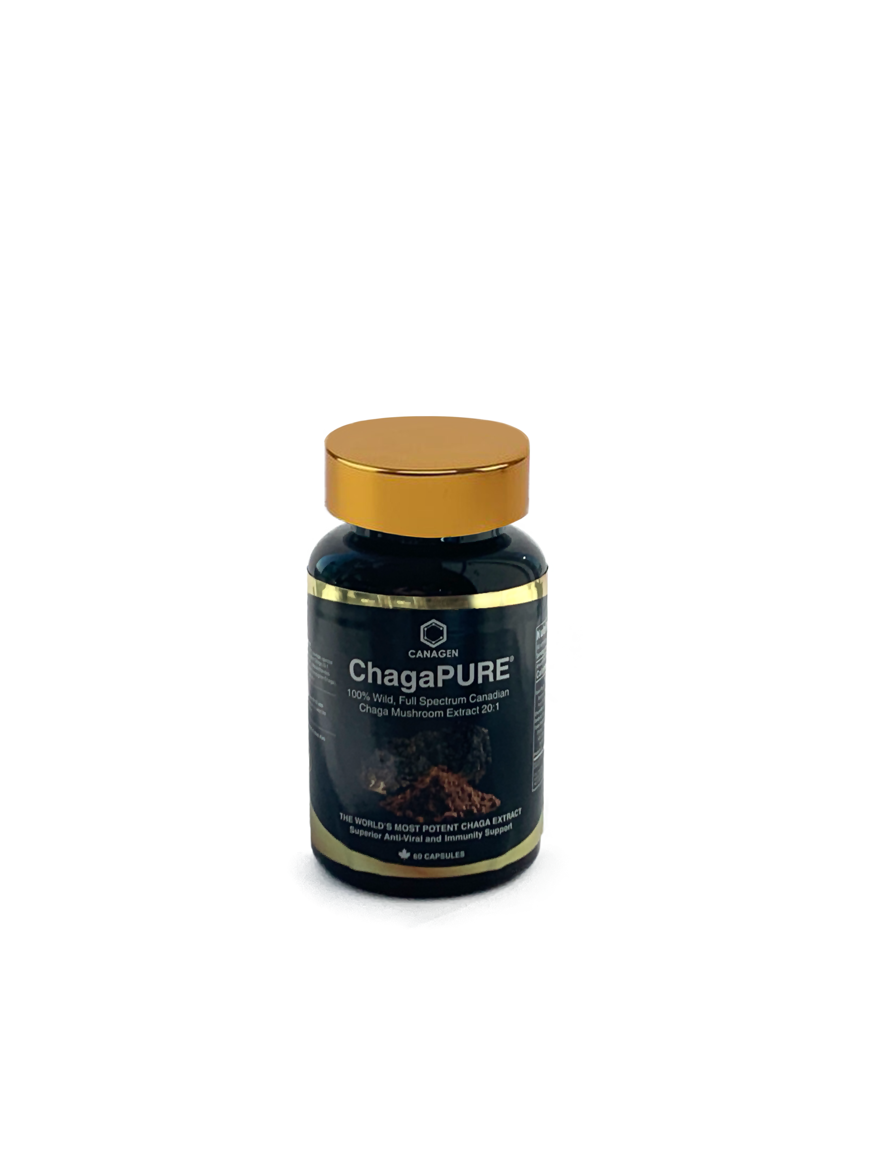 ChagaPURE® Extract | Canagen | Various Format
