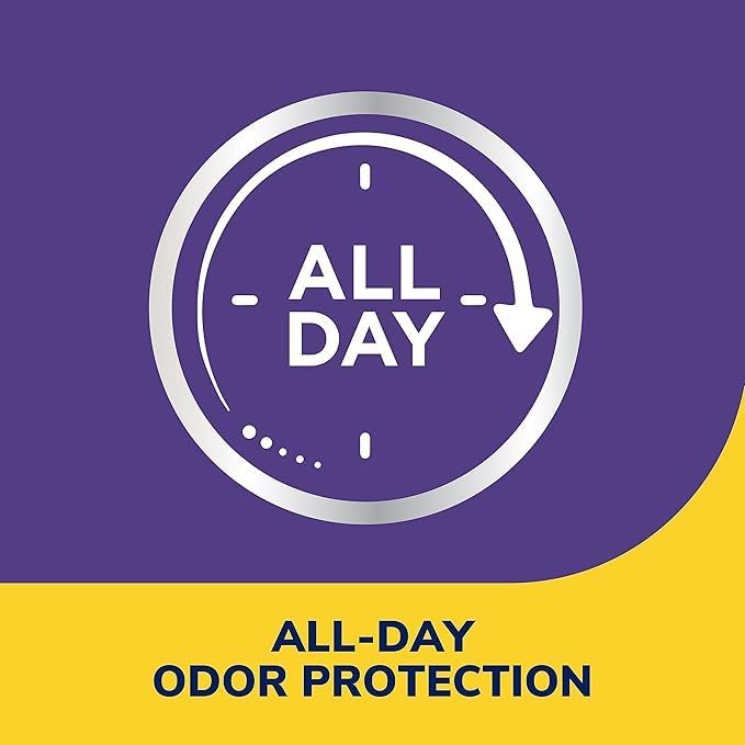 Odour Destroyers All day Deodorant Powder| Dr. Scholl's® | 177 g