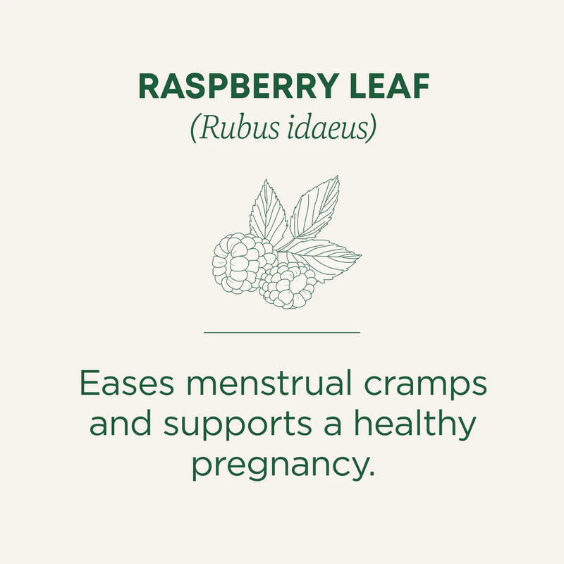 Organic Raspberry Leaf Tea | Traditional Medicinals® | 16 Tea Bags