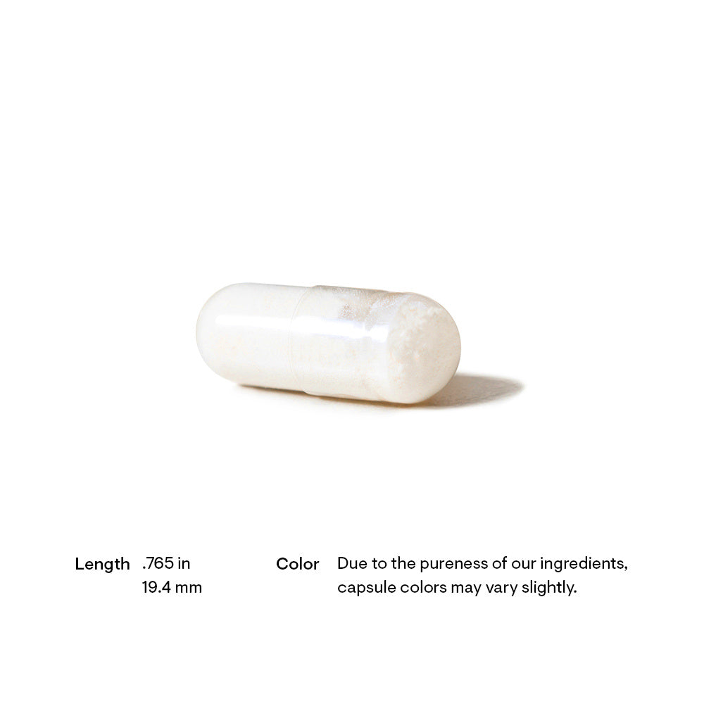 Theanine | Thorne® | 90 Capsules