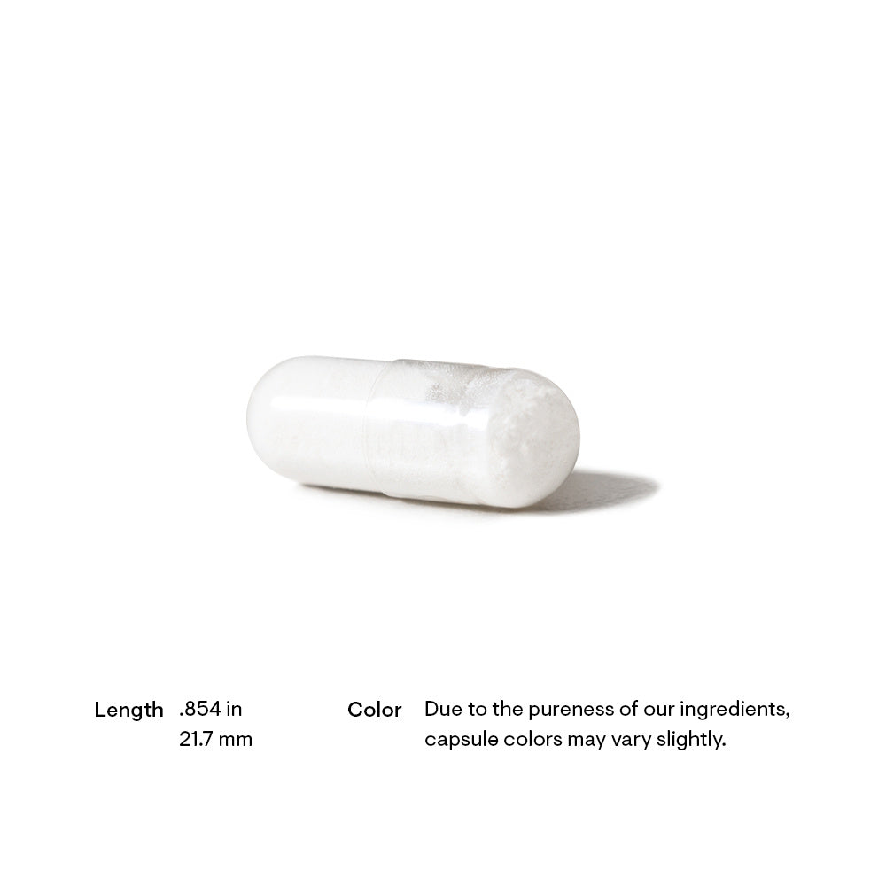 Bacillus Coagulans | Thorne® | 60 Capsules
