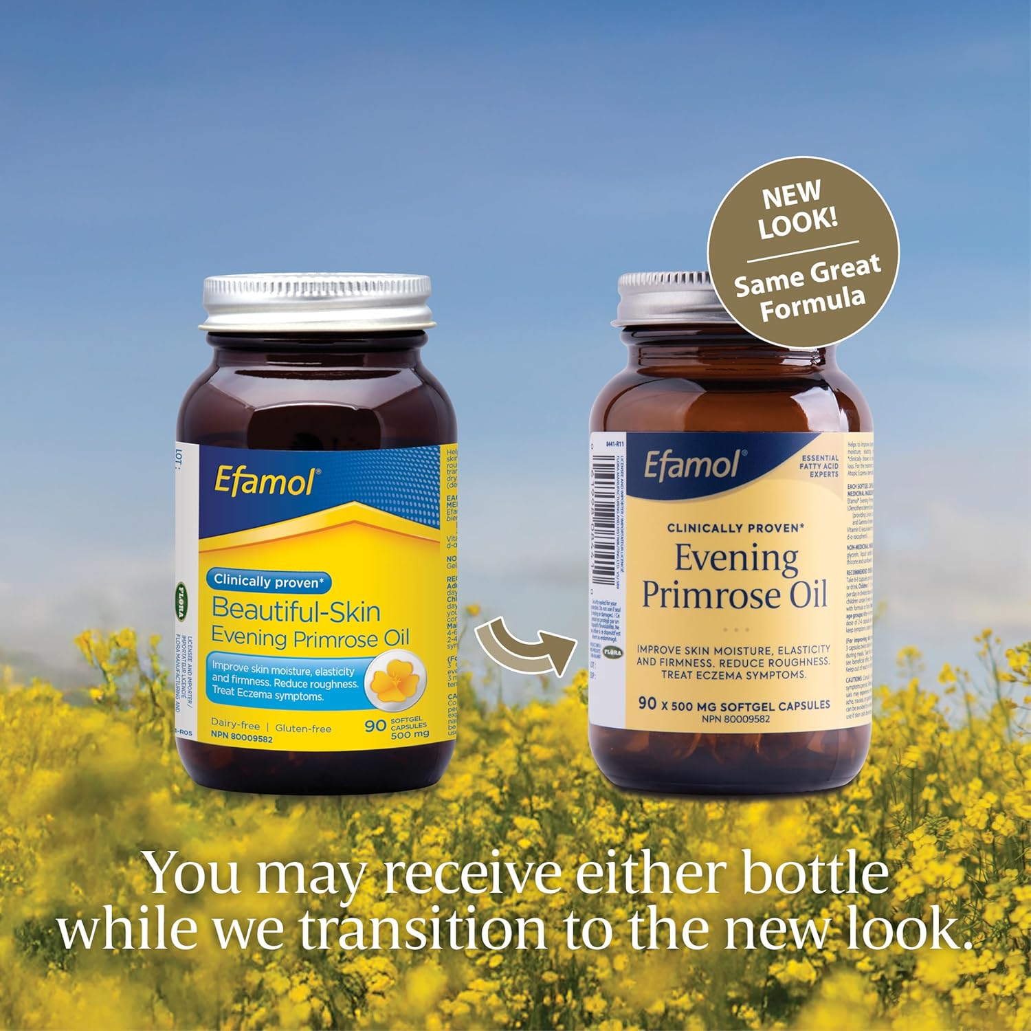 Pure Evening Primrose Oilwith Omega-6 GLA - 1000 mg  | Efamol | 90 OR 180 softgel
