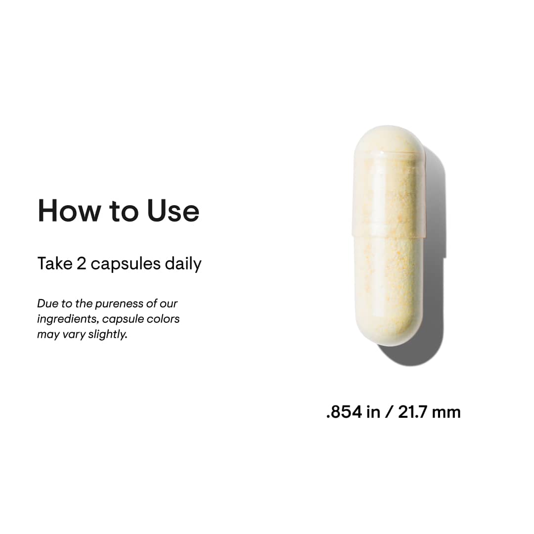 Basic Nutrients | Thorne® | 60 Capsules