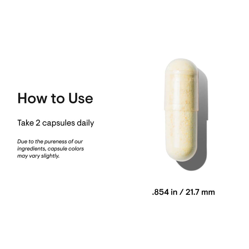 Basic Nutrients | Thorne® | 60 Capsules