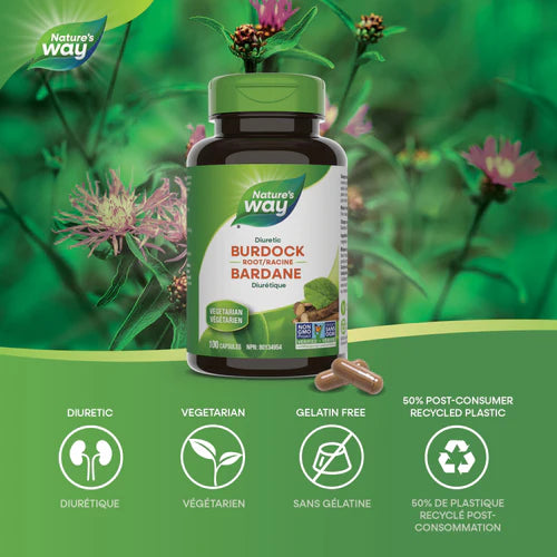 Burdock Root | Nature's Way® | 100 Capsules