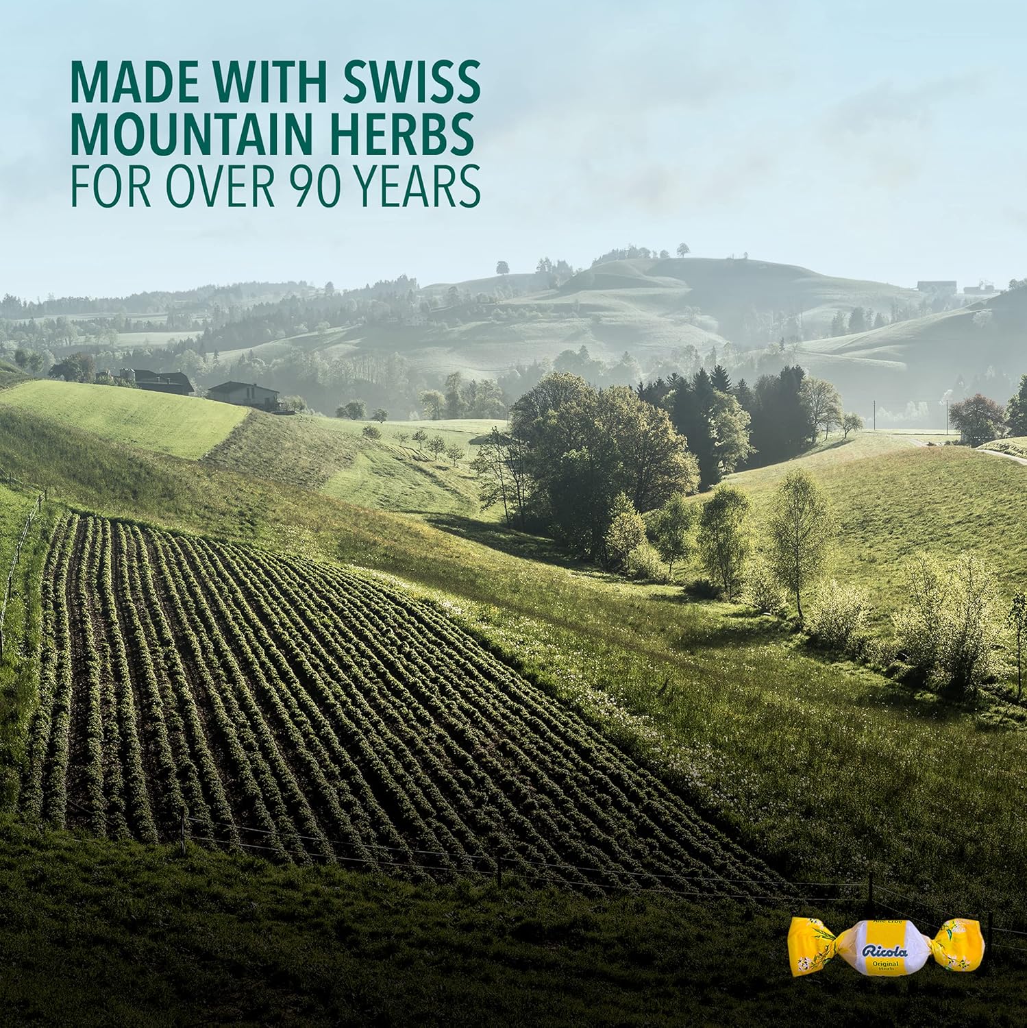 Cough Drops|Ricola|variety of flavours