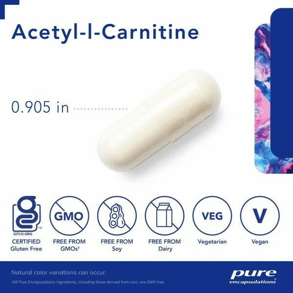 Acetyl-l-Carnitine 500 mg | Pure Encapsulations® | 60 Capsules - Coal Harbour Pharmacy
