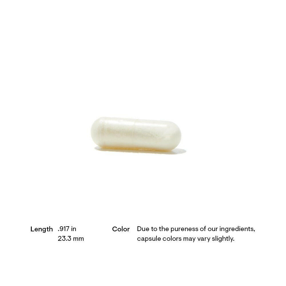 Bio-Gest | Thorne® | 60 or 180 Capsules - Coal Harbour Pharmacy