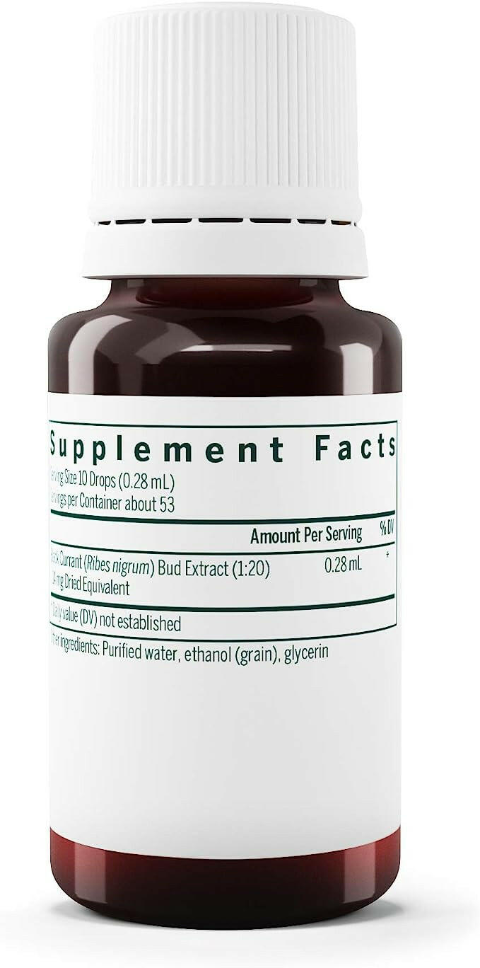 Black Currant Bud | Genestra Brands® | 15mL (0.5 fl. oz.) - Coal Harbour Pharmacy