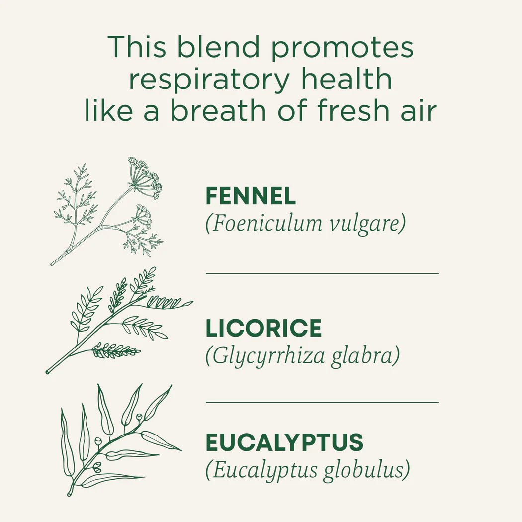 Breathe Easy® Tea | Traditional Medicinals® | 16 Tea Bags - Coal Harbour Pharmacy