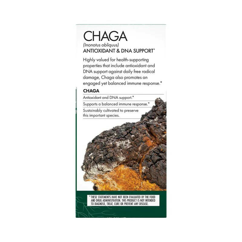 Chaga Capsules | Host Defense® Mushrooms™ | 60 Capsules - Coal Harbour Pharmacy