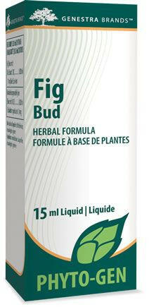 Fig Bud | Genestra Brands® | 15mL (0.5 fl. oz.) - Coal Harbour Pharmacy