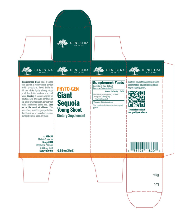 Giant Sequoia Young Shoot | Genestra Brands® | 15mL (0.5 fl. oz.) - Coal Harbour Pharmacy