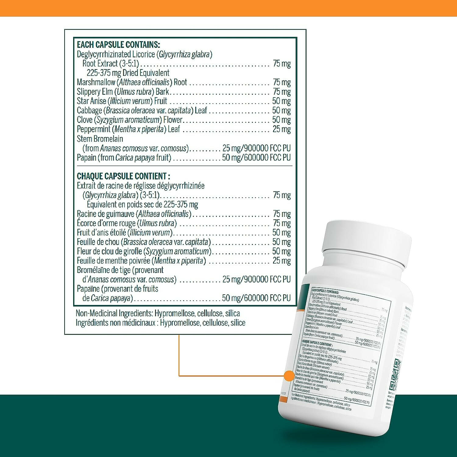 Herbal GI | Genestra Brands® | 90 Vegetable Capsules - Coal Harbour Pharmacy